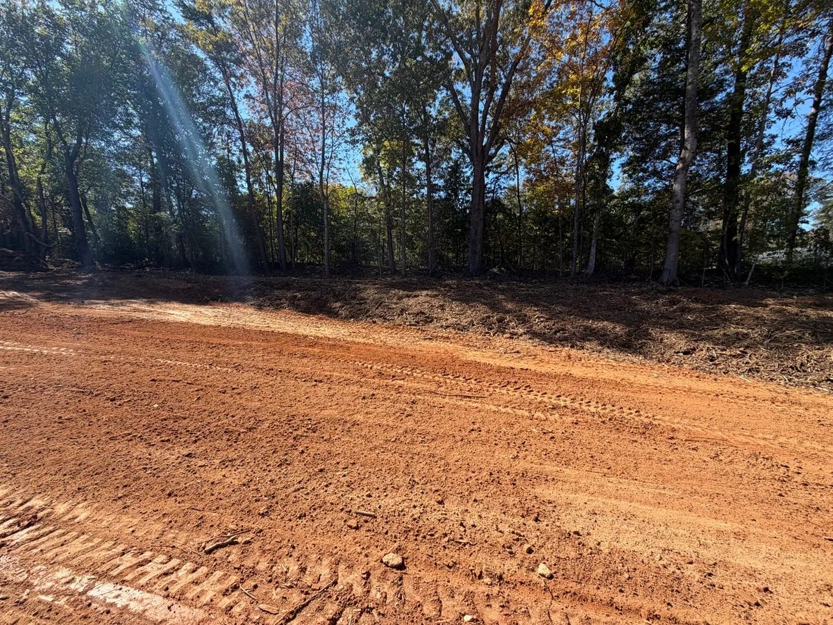 Reddish-brown dirt road with tire tracks leading into a line of dense, green deciduous trees under sunlight.