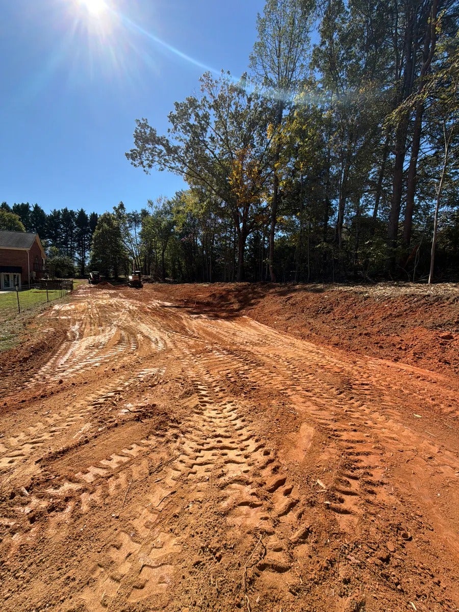A dirt path with fresh tire tracks leads toward woods, with sunlight glinting from a bright blue sky.