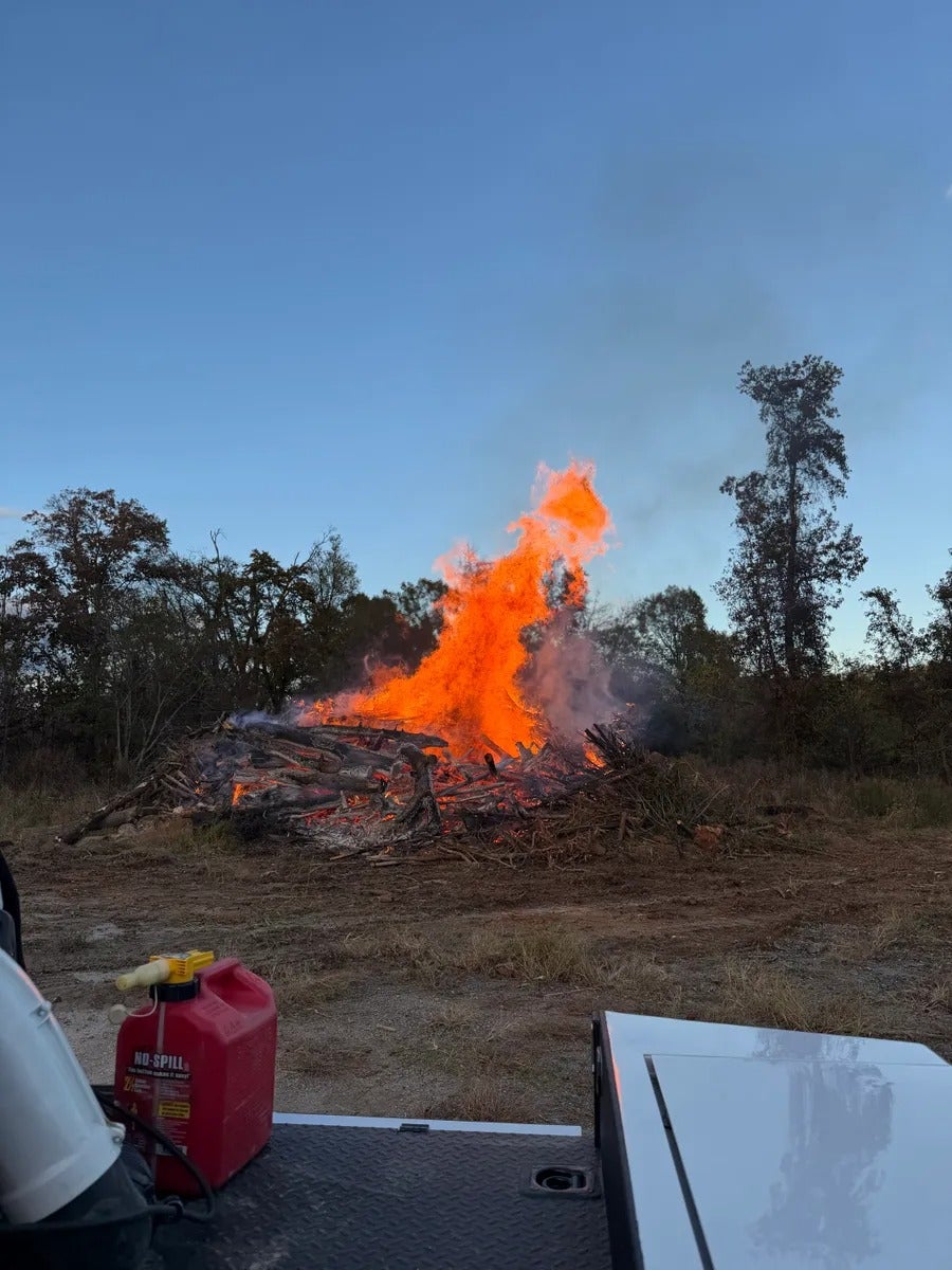 A large controlled burn of woody debris creating a towering orange flame under a clear blue sky, with a gas can in the foreground.