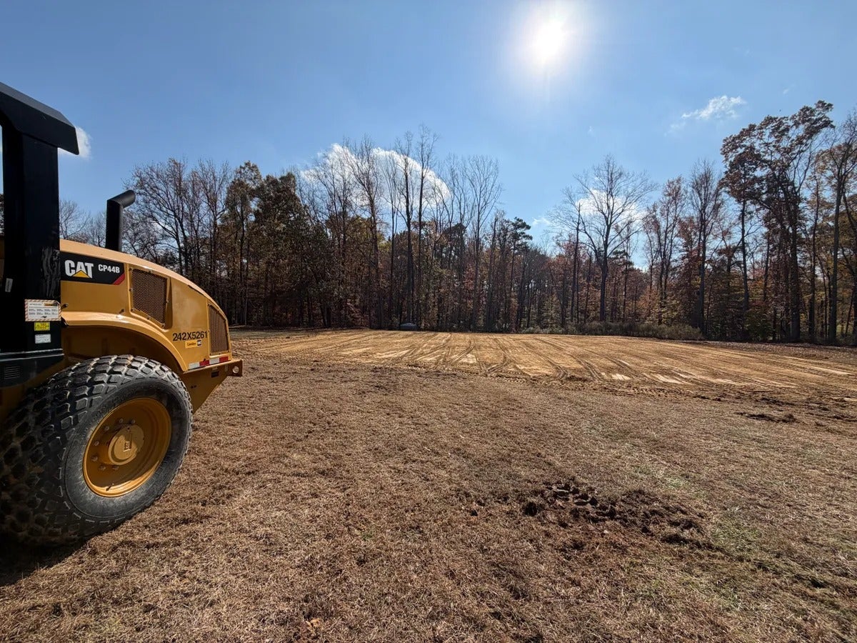 Yellow excavator next to a clearing with tire tracks, surrounded by barren trees under a bright sun.