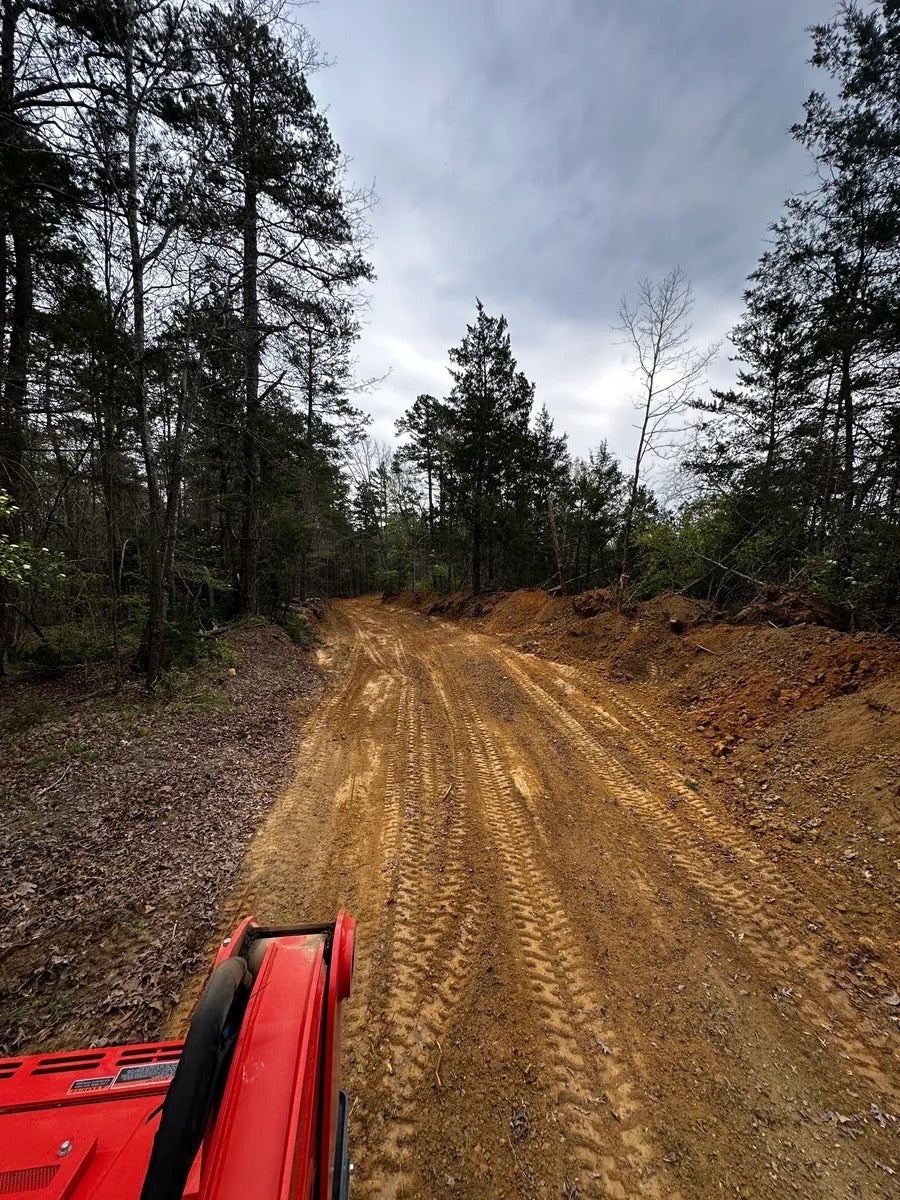 View from a vehicle of a muddy, tire-tracked dirt road winding through a dense forest under an overcast sky.