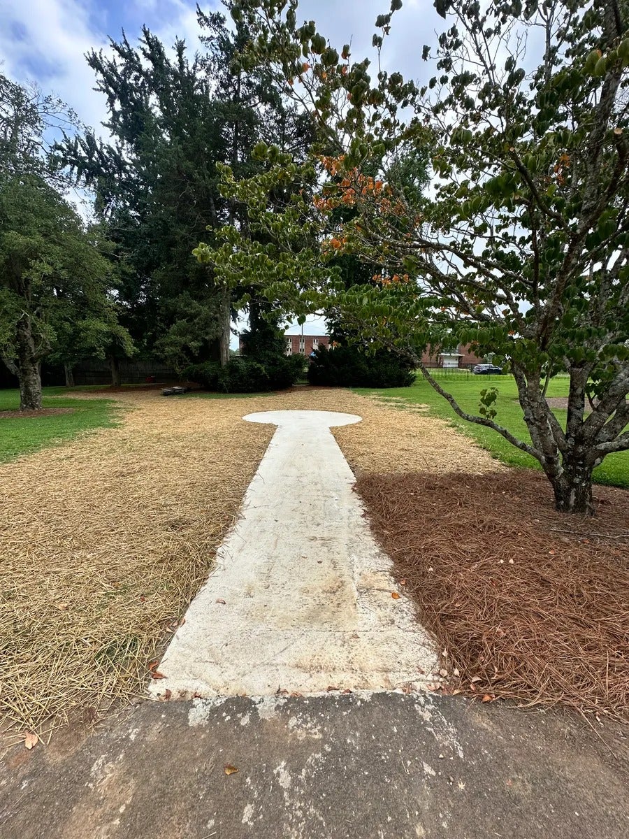 A concrete path with a circular end, surrounded by dried grass and pine needles, leading toward distant trees.