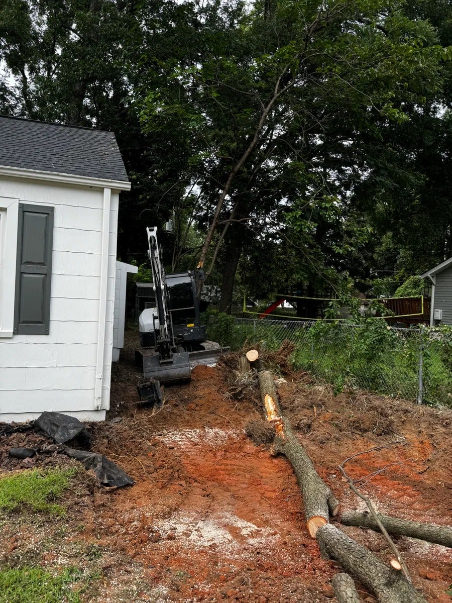 Mini excavator next to a white house, with a recently cut tree lying on red dirt.